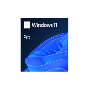 Microsoft OEM System Builder | Windоws 11 Pro | Intended use for new systems